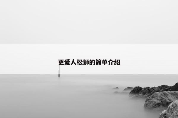 更爱人松狮的简单介绍