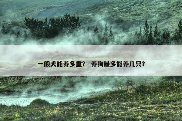 一般犬能养多重？ 养狗最多能养几只？