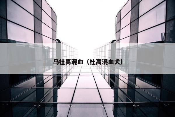 马杜高混血（杜高混血犬）