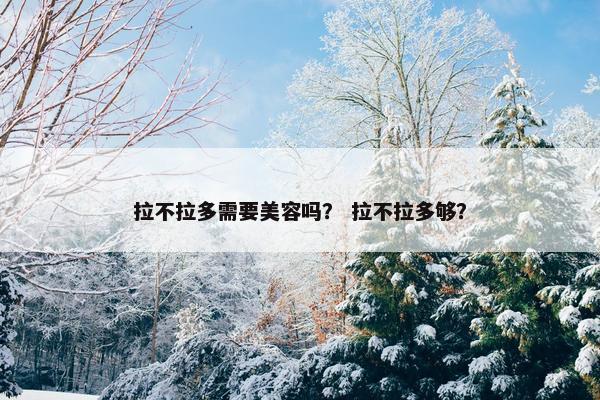 拉不拉多需要美容吗？ 拉不拉多够？