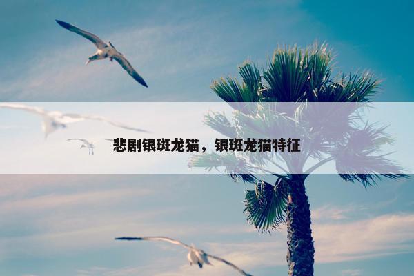 龙猫 第34页
