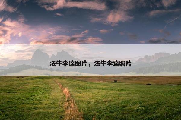 法牛李逵图片，法牛李逵照片