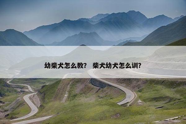 幼柴犬怎么教？ 柴犬幼犬怎么训？