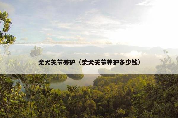 柴犬关节养护（柴犬关节养护多少钱）
