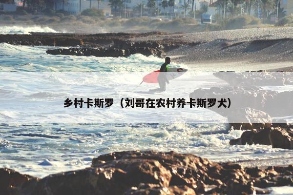乡村卡斯罗（刘哥在农村养卡斯罗犬）