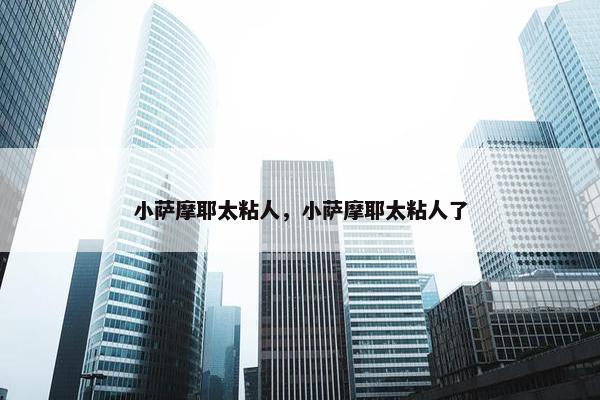 小萨摩耶太粘人，小萨摩耶太粘人了
