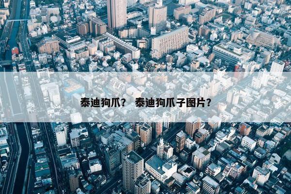 泰迪狗爪？ 泰迪狗爪子图片？