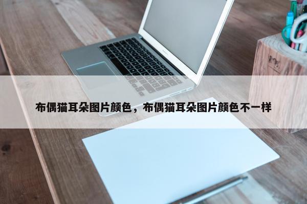 布偶猫耳朵图片颜色，布偶猫耳朵图片颜色不一样