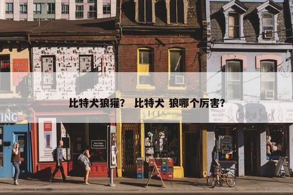 西伯利亚虎