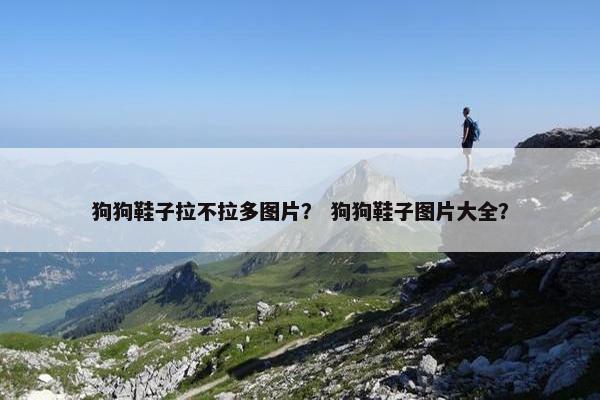 狗狗鞋子拉不拉多图片？ 狗狗鞋子图片大全？