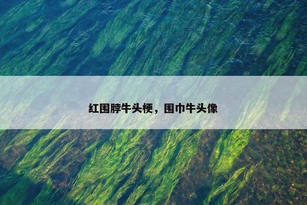 工作犬