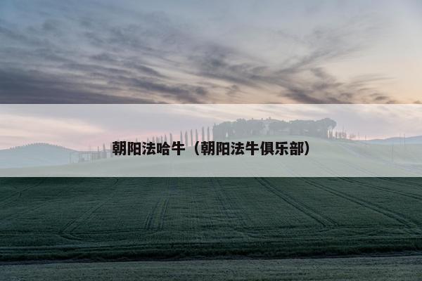 朝阳法哈牛（朝阳法牛俱乐部）