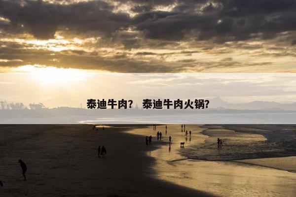 泰迪牛肉？ 泰迪牛肉火锅？