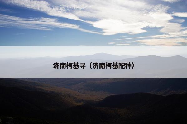 济南柯基寻（济南柯基配种）