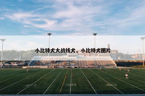 头部 第5页