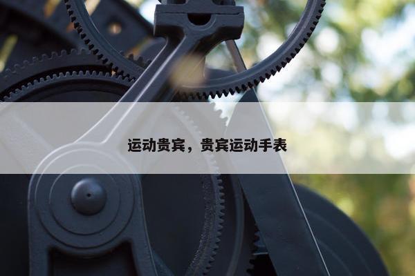 运动贵宾，贵宾运动手表