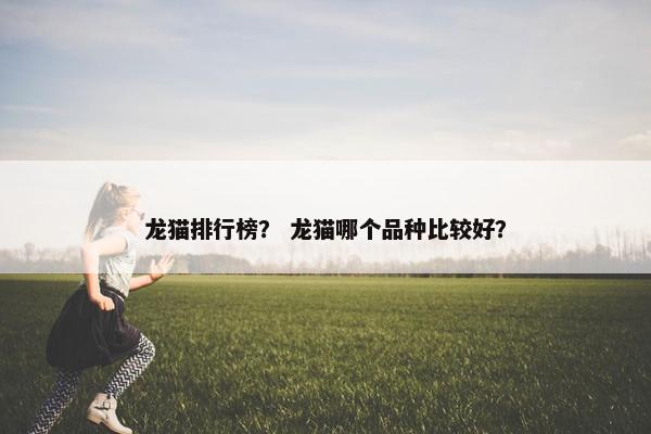 龙猫排行榜？ 龙猫哪个品种比较好？