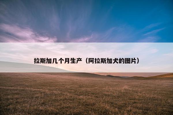 拉斯加几个月生产（阿拉斯加犬的图片）