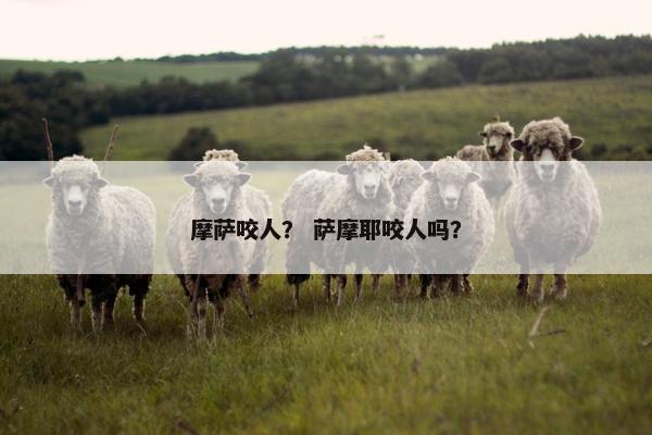 机会