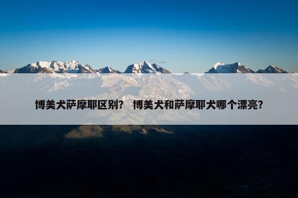 博美犬萨摩耶区别？ 博美犬和萨摩耶犬哪个漂亮？