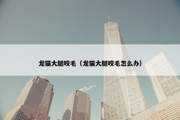 龙猫大腿咬毛（龙猫大腿咬毛怎么办）
