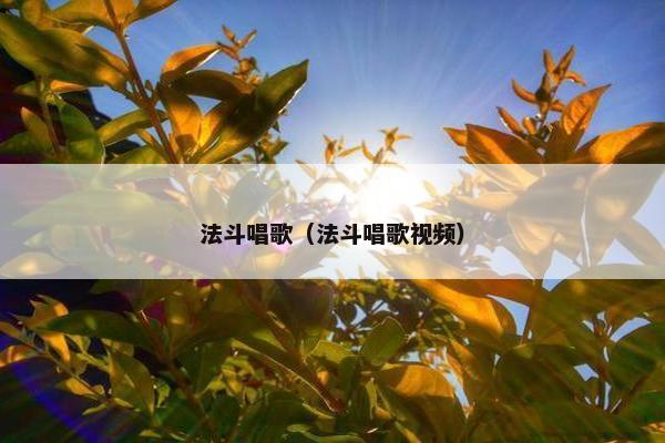 法斗唱歌（法斗唱歌视频）