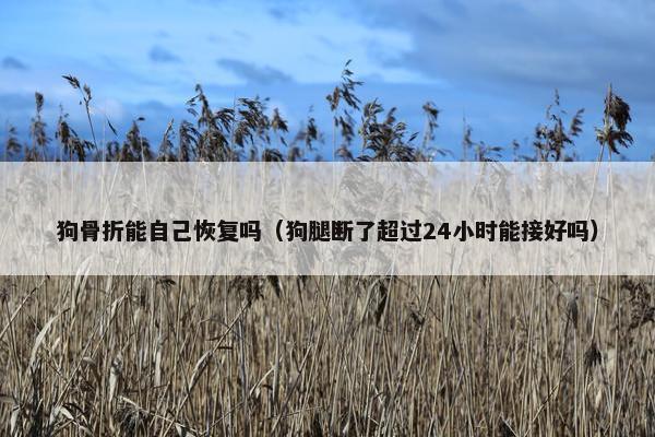 愈合
