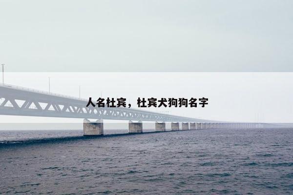人名杜宾，杜宾犬狗狗名字