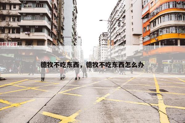德牧不吃东西，德牧不吃东西怎么办