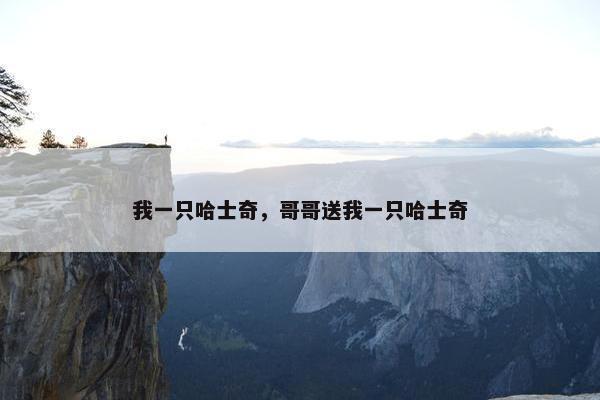 我一只哈士奇，哥哥送我一只哈士奇