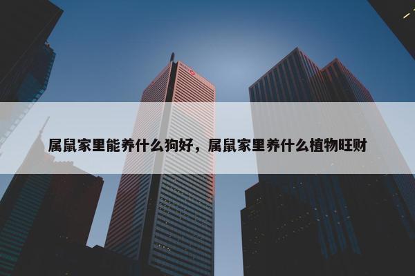 属鼠家里能养什么狗好，属鼠家里养什么植物旺财