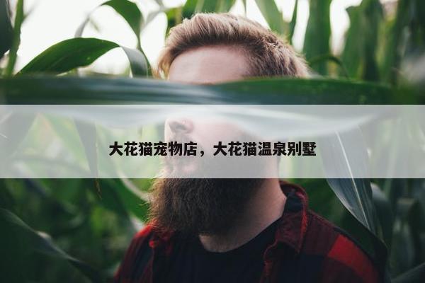 大花猫宠物店，大花猫温泉别墅