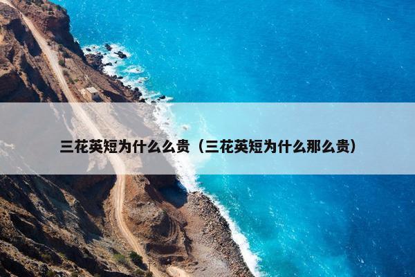 英短三