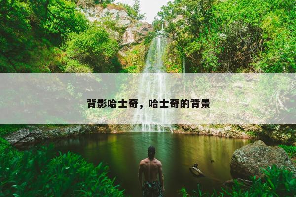 背影哈士奇，哈士奇的背景