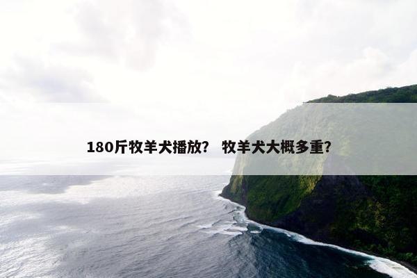 180斤牧羊犬播放？ 牧羊犬大概多重？