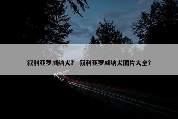 叙利亚罗威纳犬？ 叙利亚罗威纳犬图片大全？