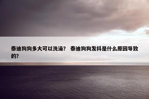 泰迪狗狗多大可以洗澡？ 泰迪狗狗发抖是什么原因导致的？