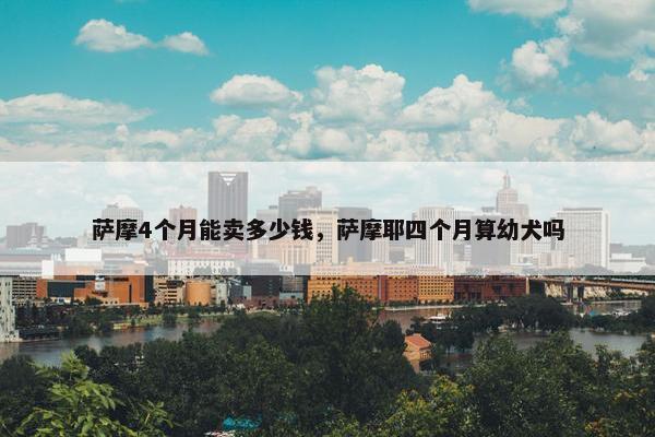 萨摩4个月能卖多少钱，萨摩耶四个月算幼犬吗