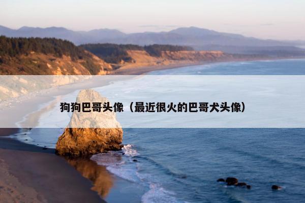 狗狗巴哥头像（最近很火的巴哥犬头像）