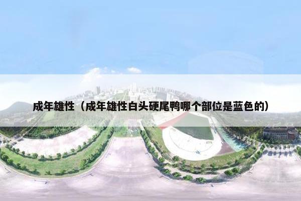 成年雄性（成年雄性白头硬尾鸭哪个部位是蓝色的）