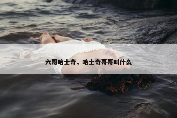 六哥哈士奇，哈士奇哥哥叫什么