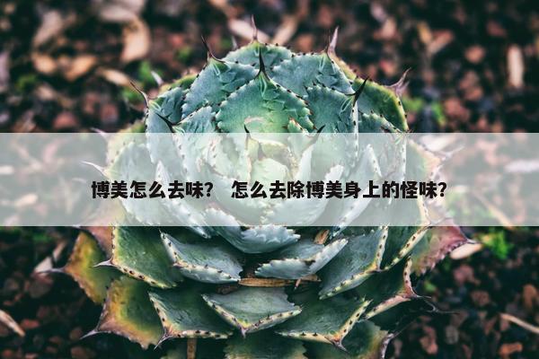 博美怎么去味？ 怎么去除博美身上的怪味？
