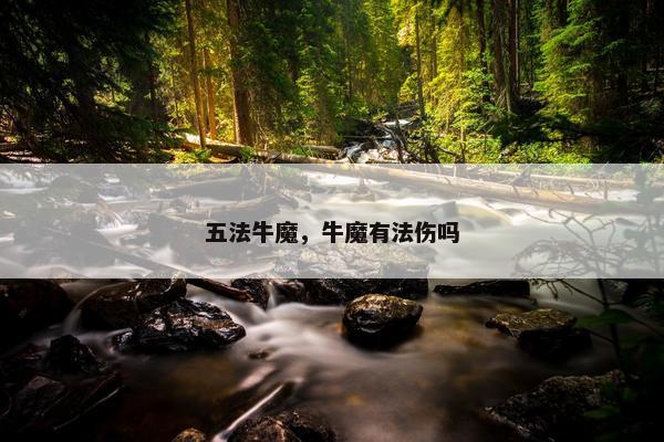 五法牛魔，牛魔有法伤吗