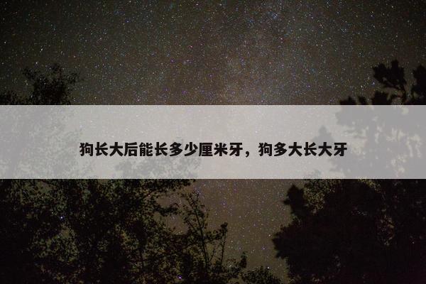 狗长大后能长多少厘米牙，狗多大长大牙