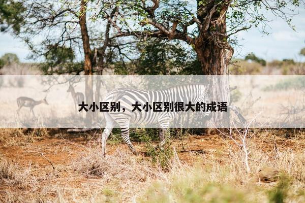 大小区别，大小区别很大的成语