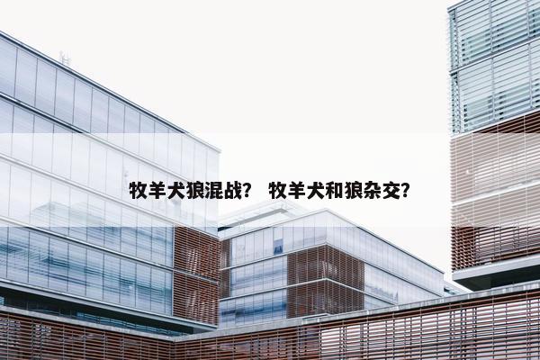牧羊犬狼混战？ 牧羊犬和狼杂交？