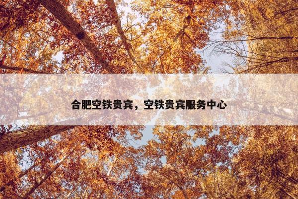 合肥空铁贵宾，空铁贵宾服务中心