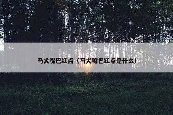 马犬嘴巴红点（马犬嘴巴红点是什么）
