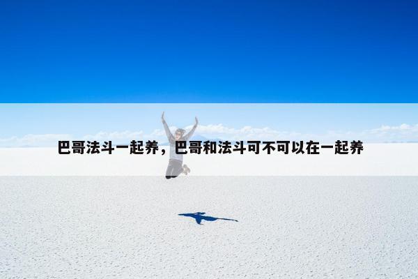 巴哥法斗一起养，巴哥和法斗可不可以在一起养