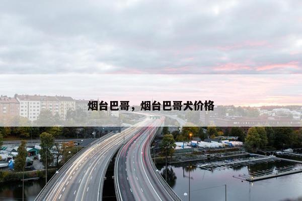 烟台巴哥，烟台巴哥犬价格